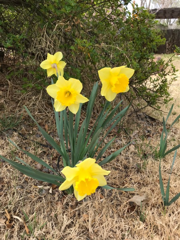 yOcW2oFXRVeQuNRF5RXPSA